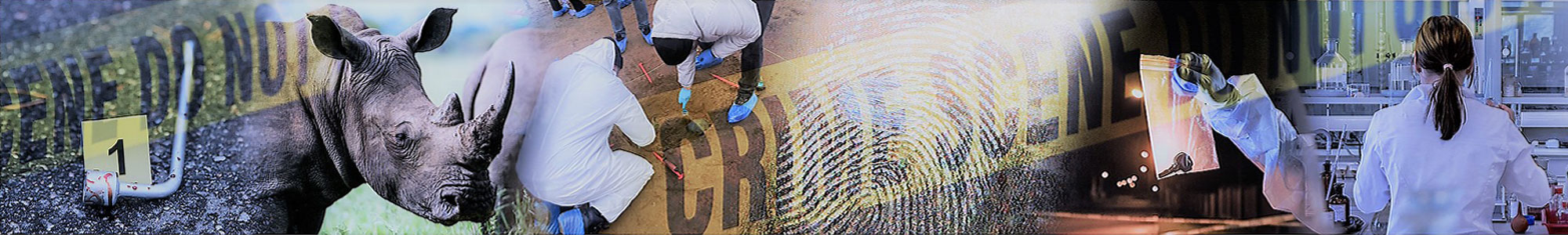 Forensic team and crime scene at zoo